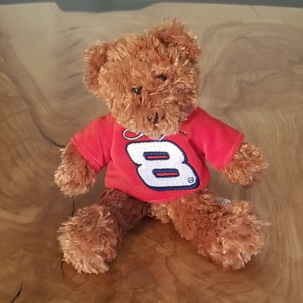 Dale Earnhardt Jr Collectible Bear